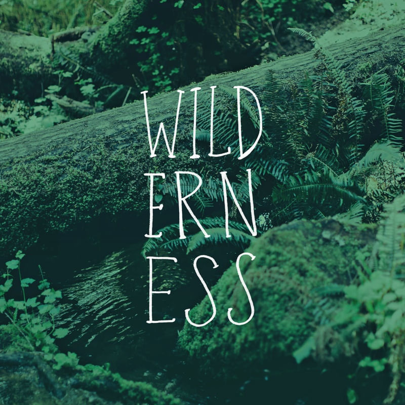 WILDERNESS