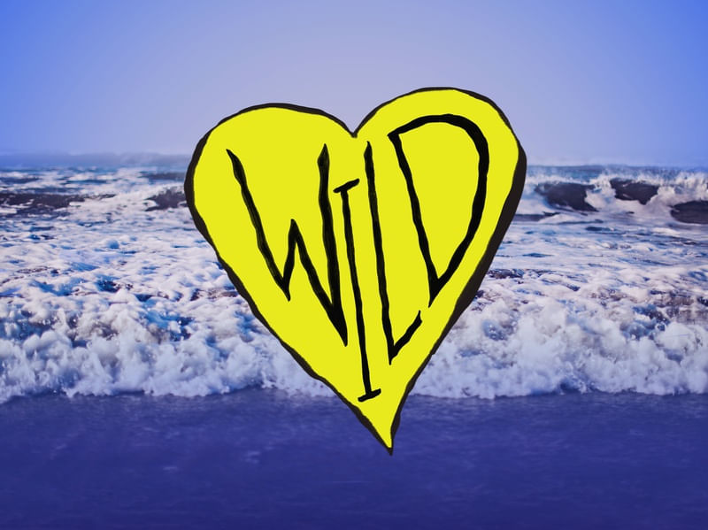 WILD HEART WAVES