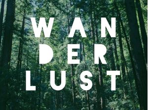 WANDER FOREST