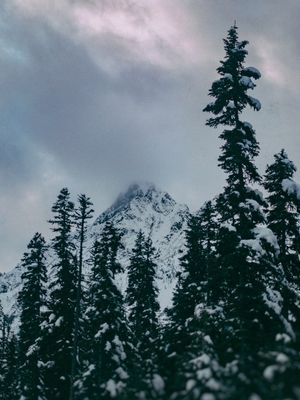 CASCADE WINTER MOUNTAIN