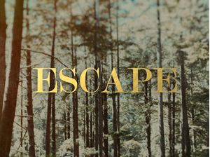 ESCAPE FOREST