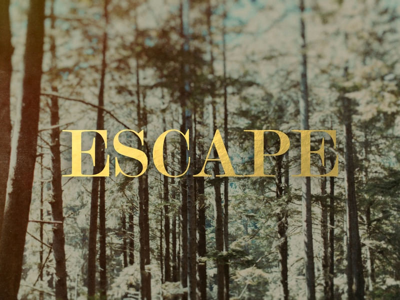 ESCAPE FOREST