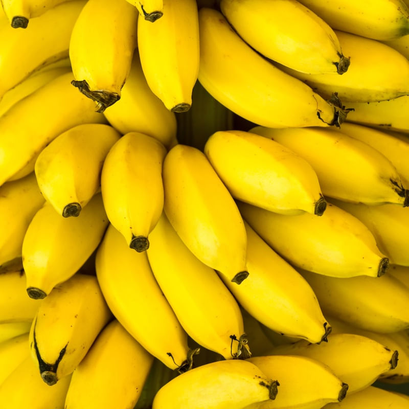 BANANAS MTC