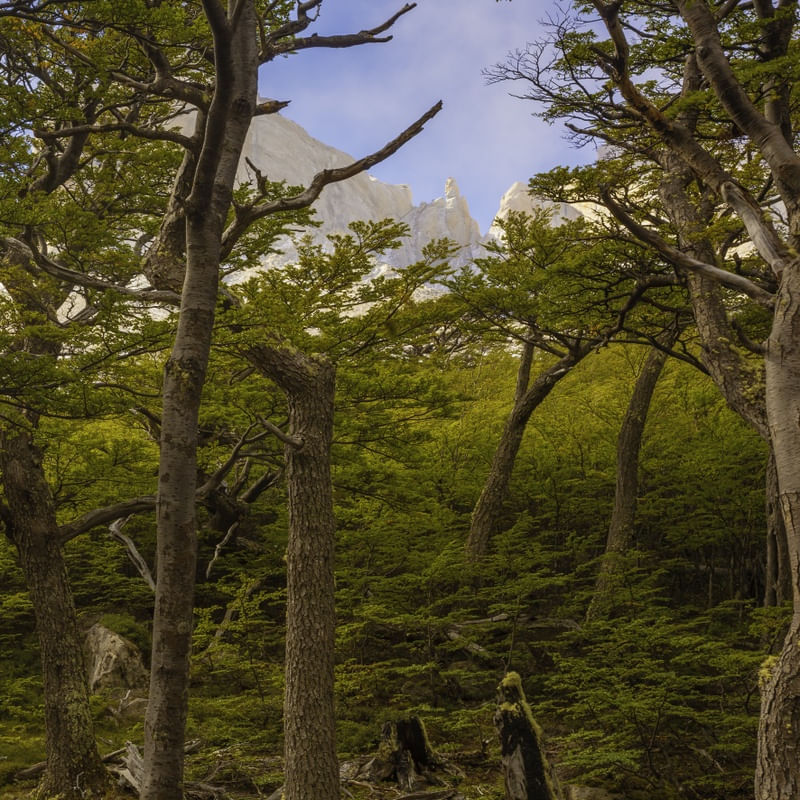 TORRES DEL PAINE 2