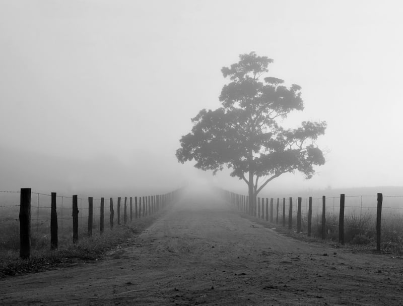 SOLITUDE 01 DUAYER