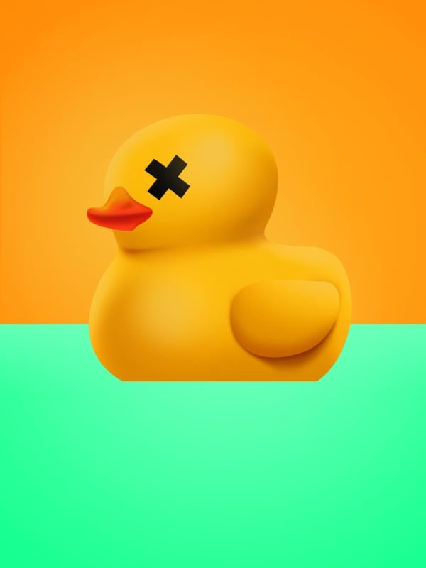 AQUA DUCK