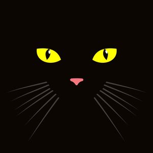 BLACKCAT