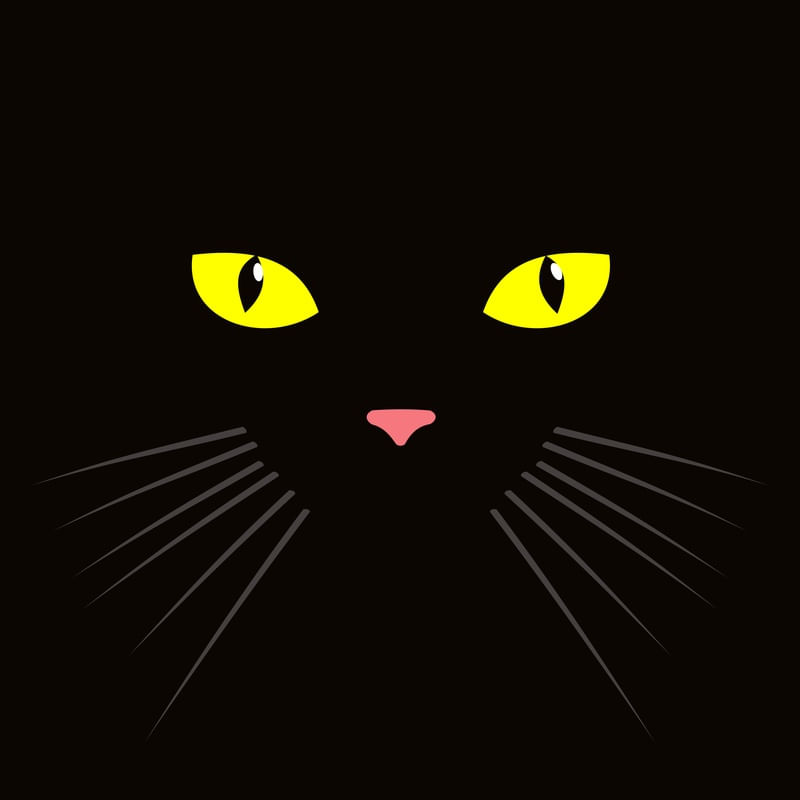 BLACKCAT