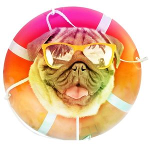 SUMMER PUG