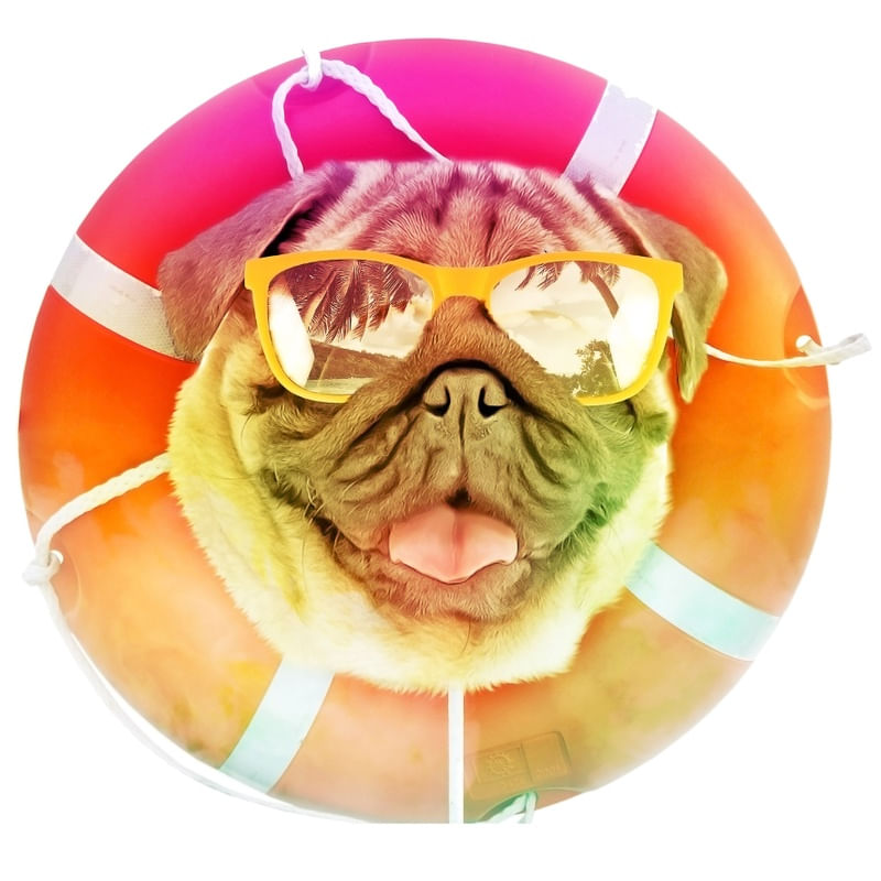 SUMMER PUG