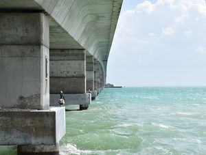 CONCRETO VIVO