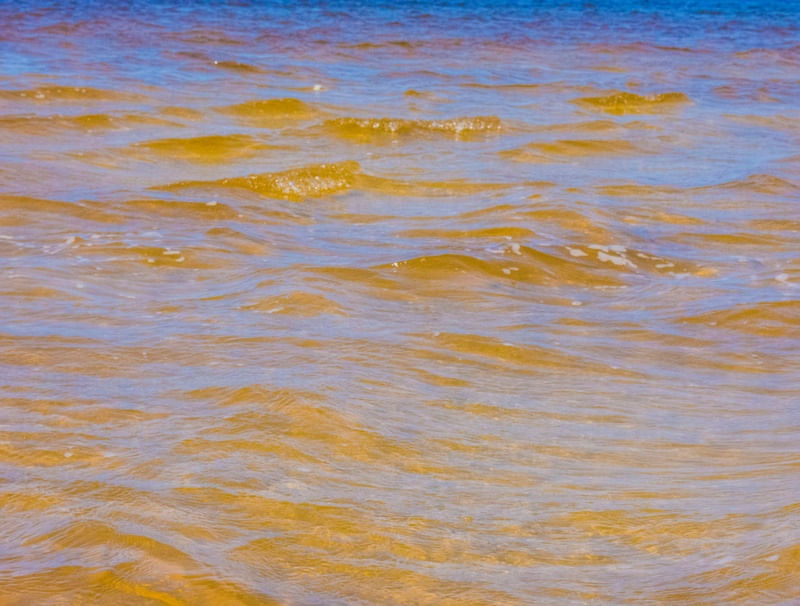 COMO UMA ONDA NO MAR DE MACEIÓ