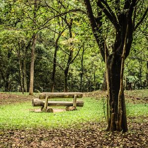 UM BOM LUGAR PARA DESCANSAR