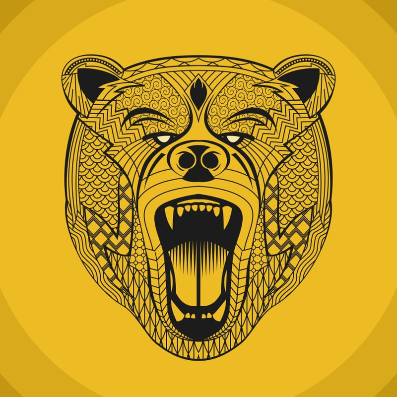 PODER DE URSO - 02