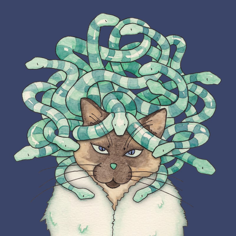 MEDUSA CAT