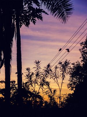 ANOTHER SUNRISE