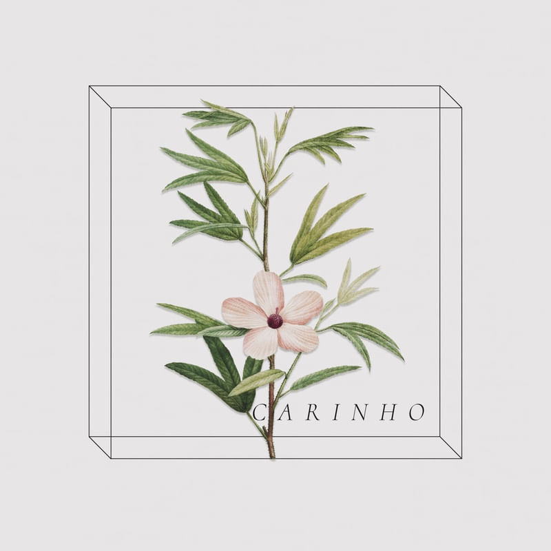 ANTIQUE FLORA (CARINHO)