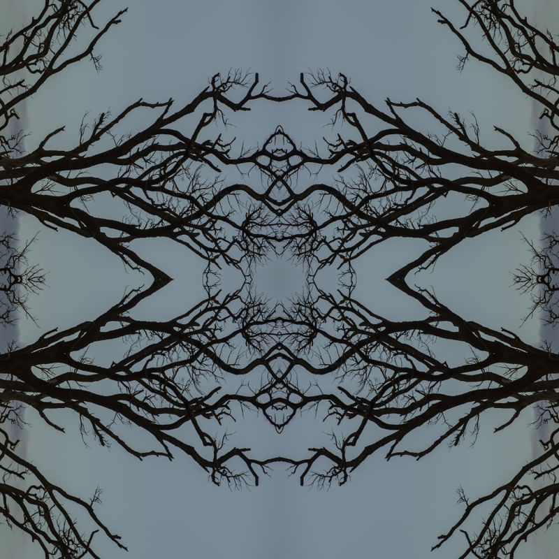 ÁRVORE EM MANDALA 1