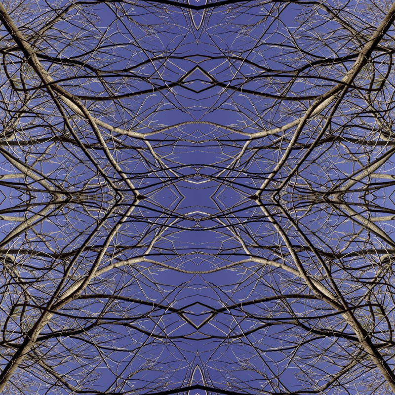 ÁRVORE EM MANDALA 2