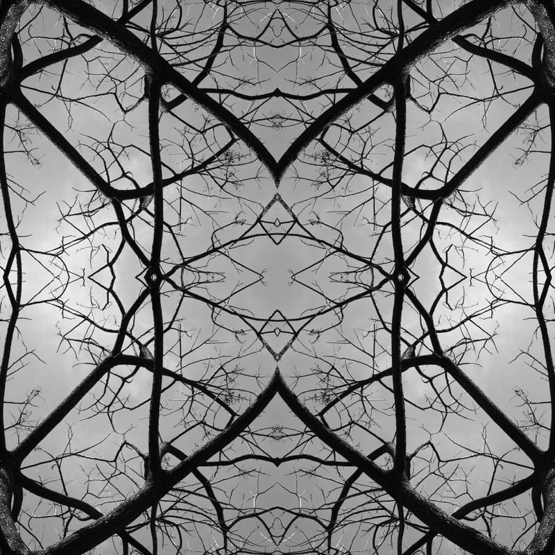ÁRVORE EM MANDALA 3