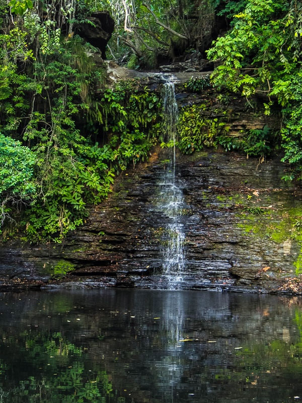 S.T