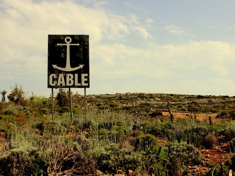 THE SIGN