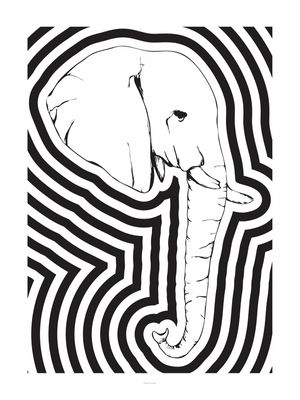 ELEPHANT HEAD FULL