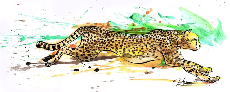 LEOPARDO NAKA