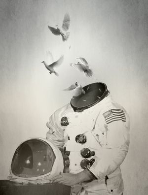 DOVES