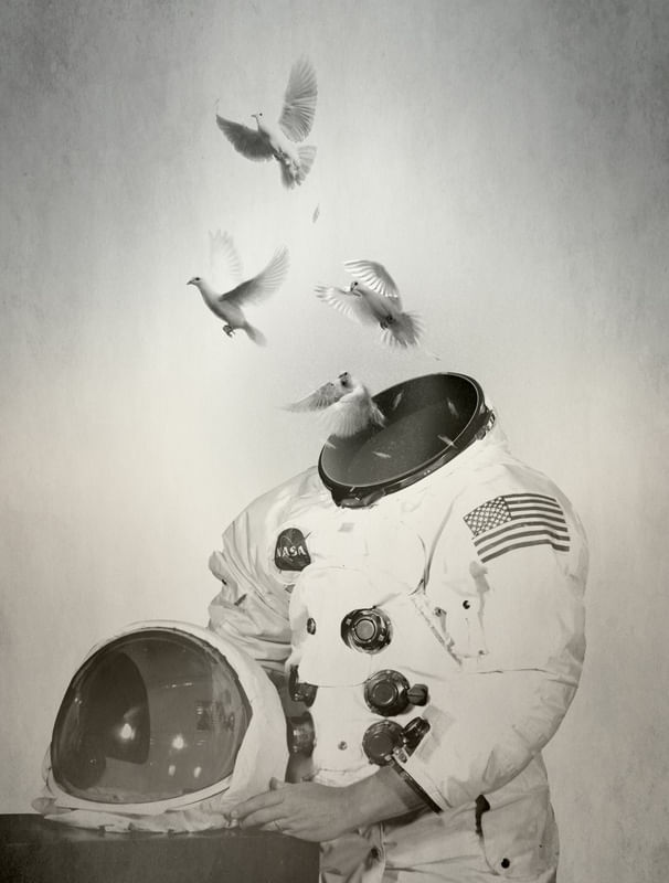 DOVES