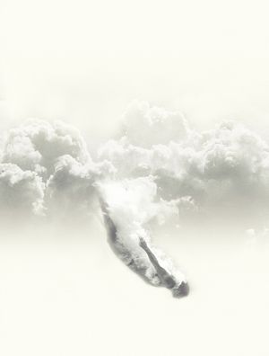 SKY DIVER