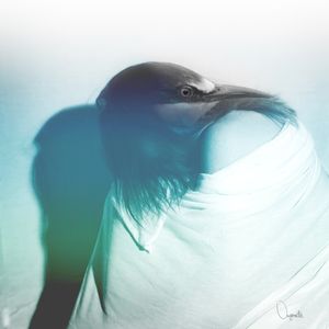 SYNESTHESIA II