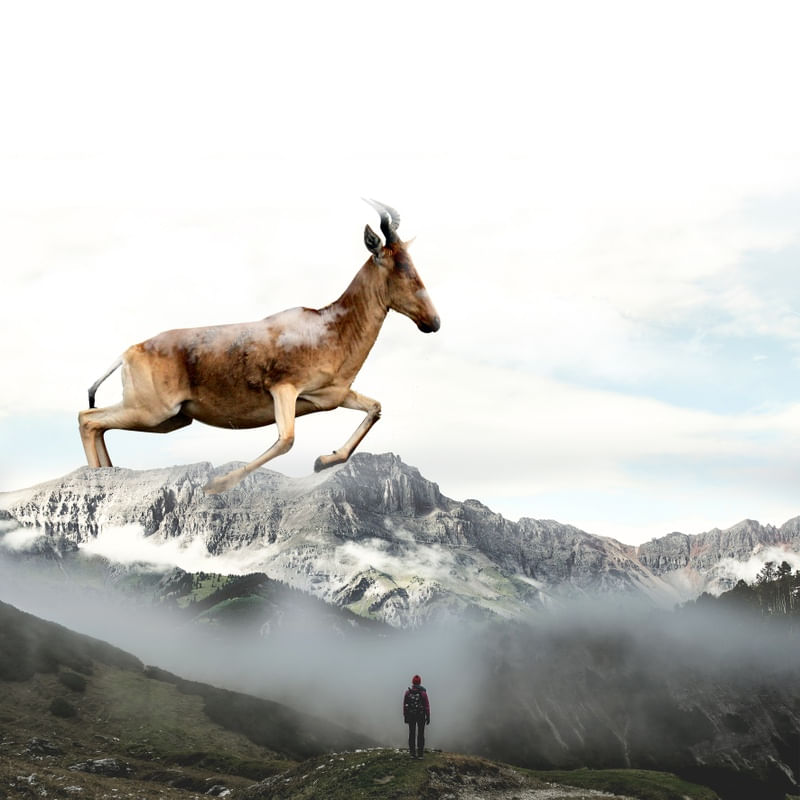 GNU