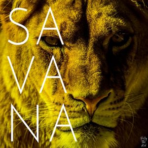 SAVANA - TRAVEL SERIES