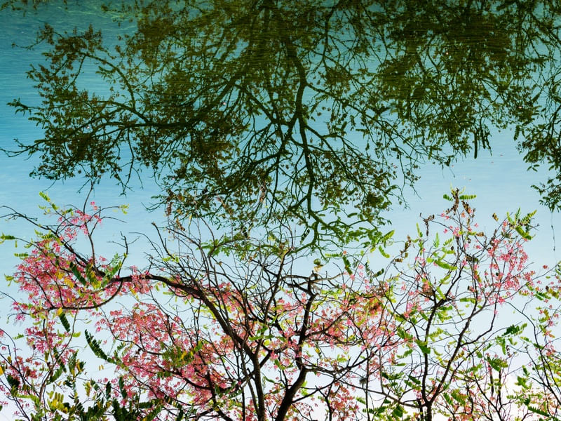 REFLETINDO A BELEZA