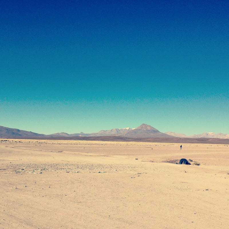 SOLO EN EL DESIERTO