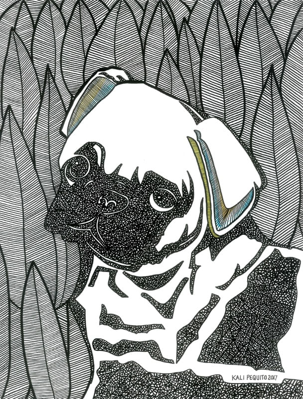 PUG FELIZ