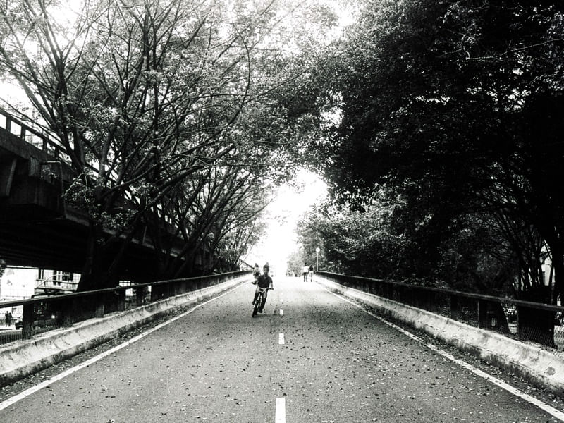 PARQUE MINHOCÃO SP