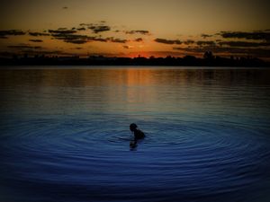 PAZ NO LAGO