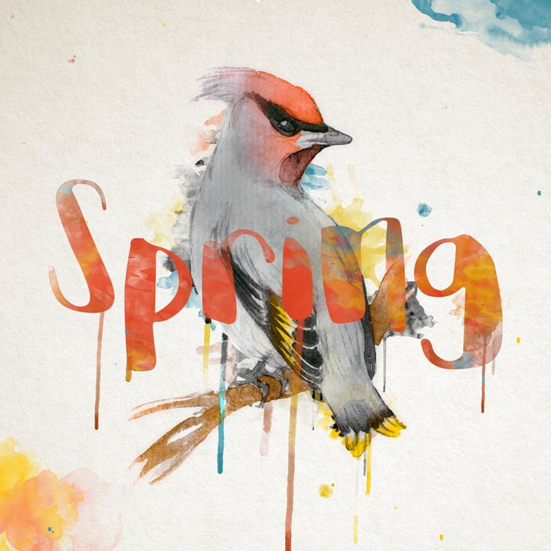 WATERCOLOR SPRING (QUADRADO)