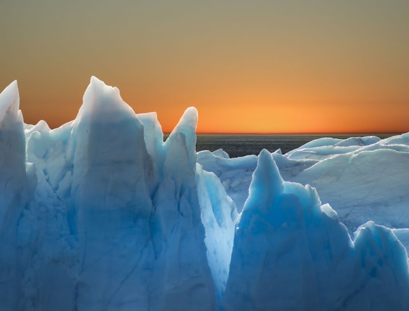 ICED SUNSET