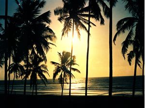PRAIA DO FRANCÊS - AL 02