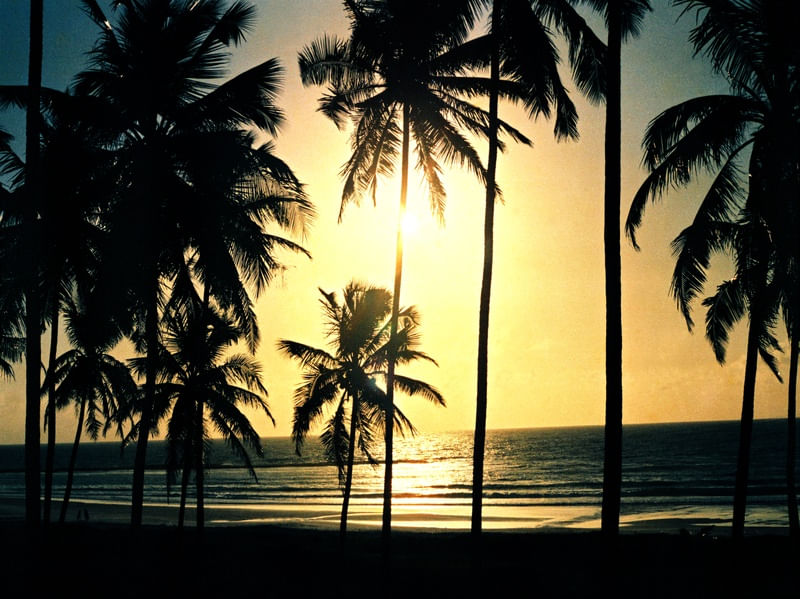 PRAIA DO FRANCÊS - AL 02
