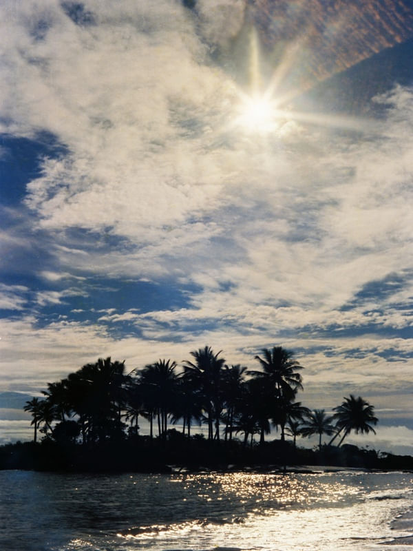 PARAÍSO TROPICAL 21