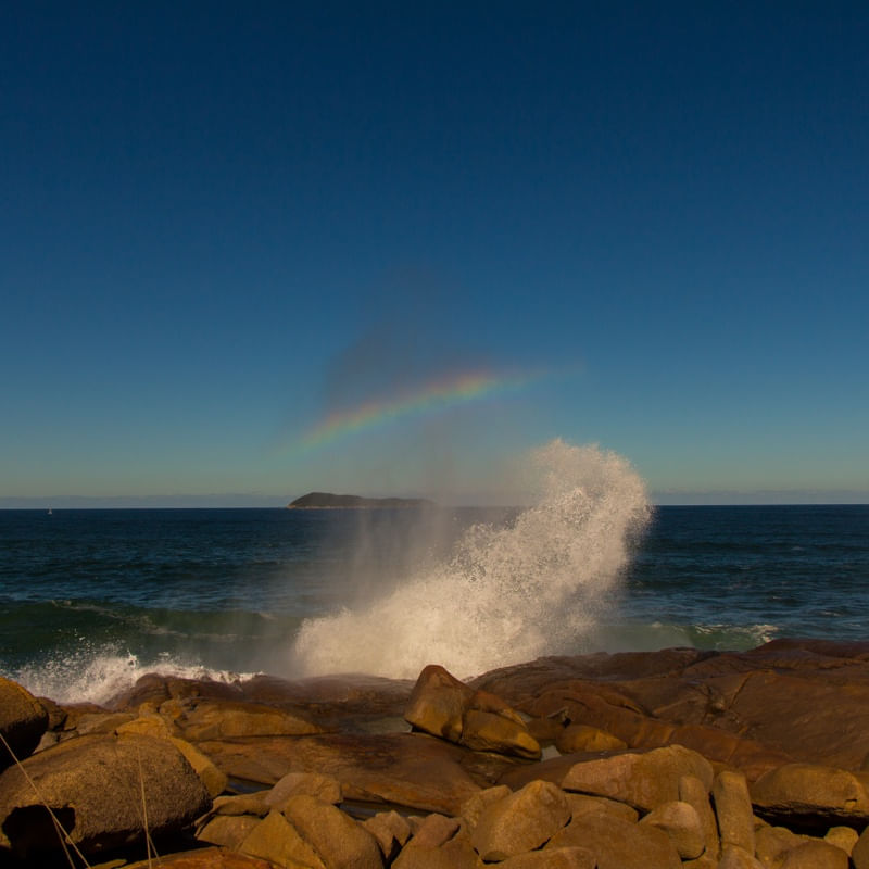 ARCOIRIS