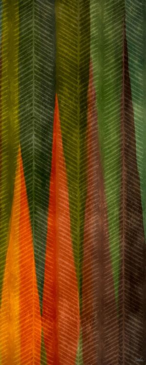 TUPI GUARANI