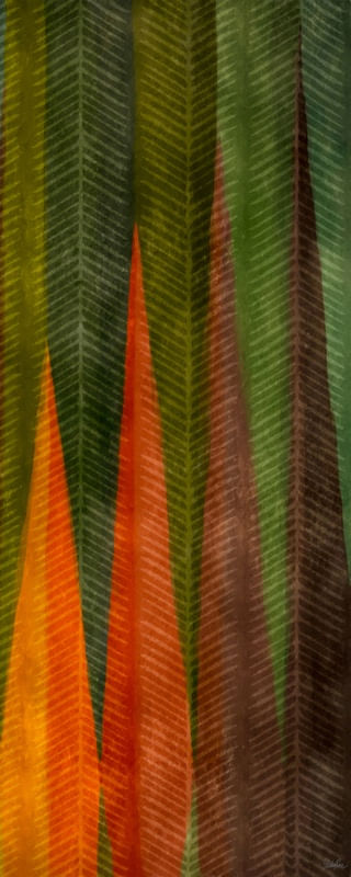 TUPI GUARANI