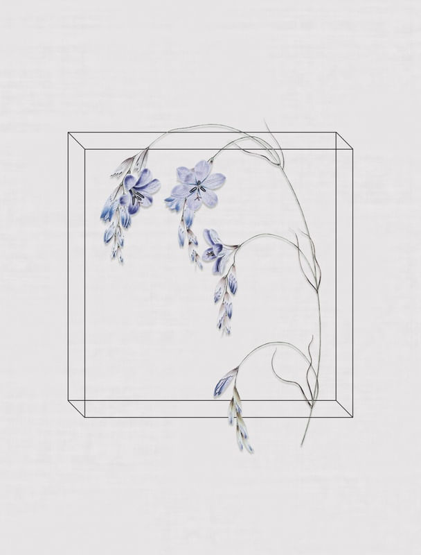 ANTIQUE FLORA II