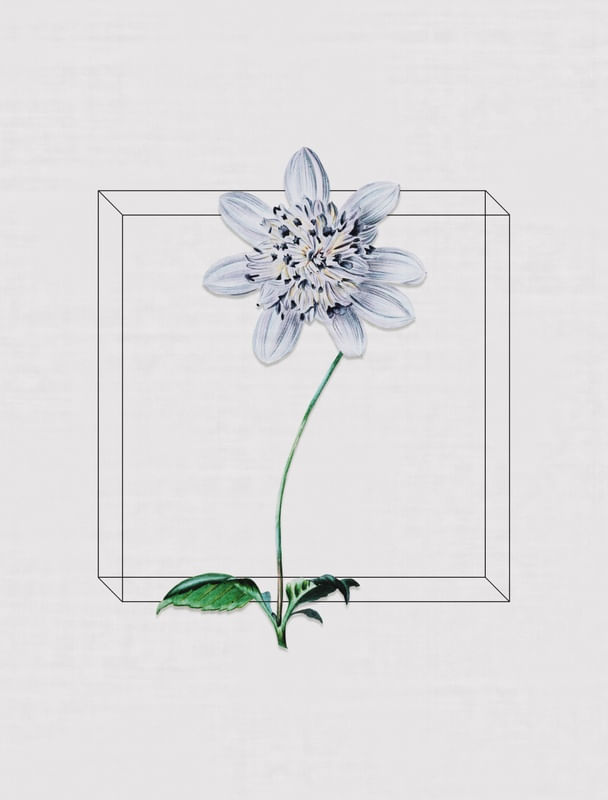 ANTIQUE FLORA I