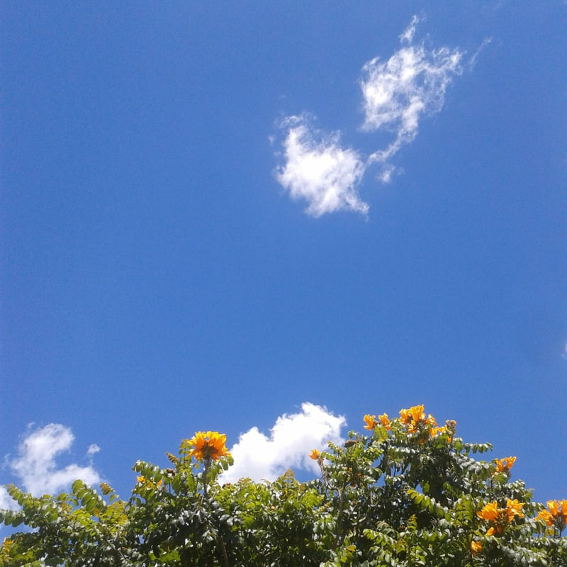 INTERIOR - SP